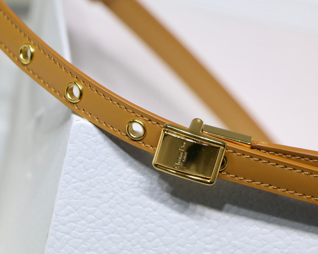 Christian Dior Bobby East West Bag Luxury